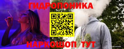 индика Беслан
