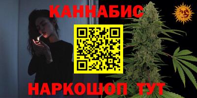 индика Беслан