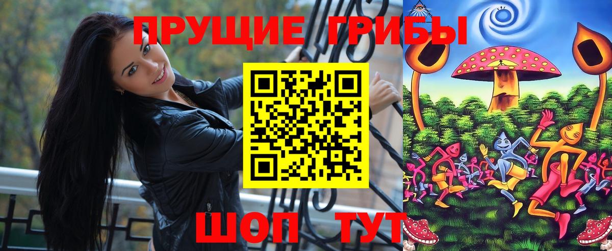 Киселёвск  Псилоцибиновые грибы GOLDEN TEACHER  Вход с VPN 