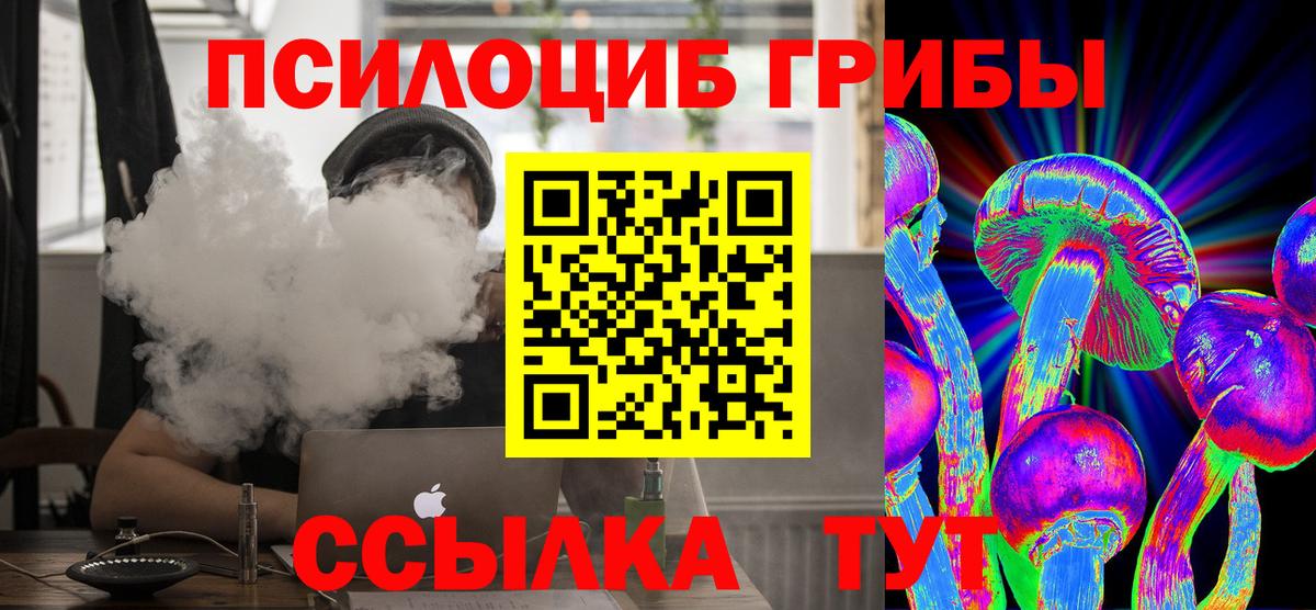 Галлюциногенные грибы Psilocybe Киселёвск